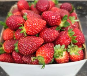 MyD Delivery Product Image