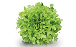 MyD Delivery Product Image